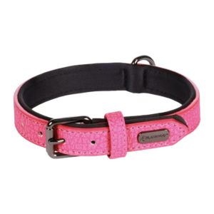 Petmart