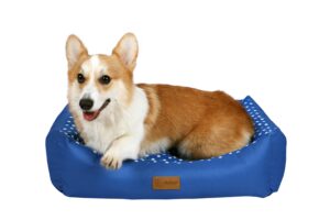 Petmart