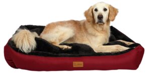 Petmart