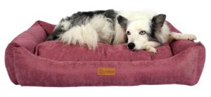 Petmart
