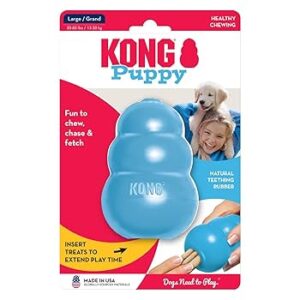 Kong Puppy Small Second