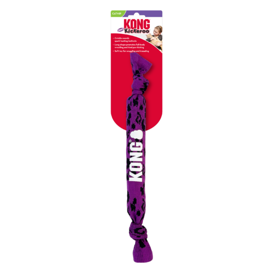 CR84_ON_PK_1_20251010_1600 CR84_ON_PK_1_20251010_1600