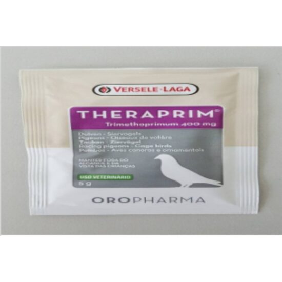 image20-202024-09-04T172601_20240904_1726-1