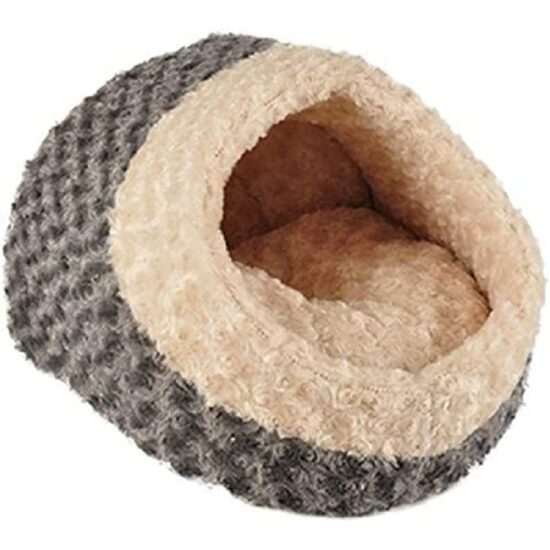 image20-202024-09-11T081739_20240911_0817-1