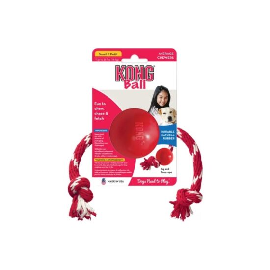 image20-202024-09-12T085221_20240912_0852