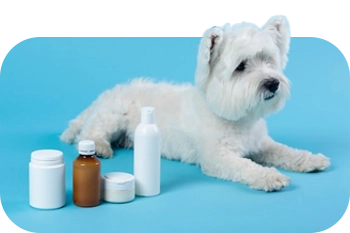 Dog Supplements